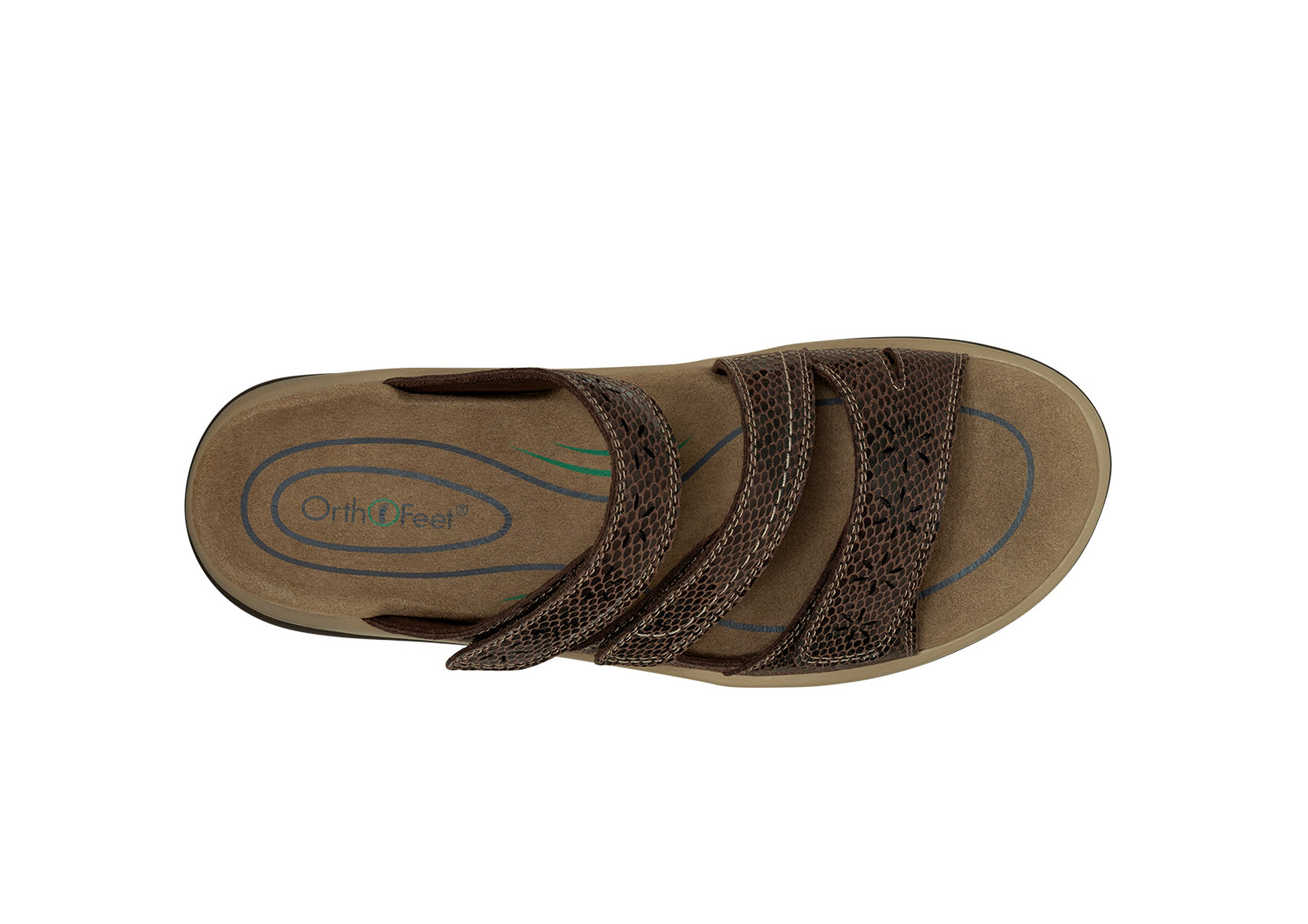 Sahara - Brown Snake