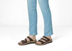 Sahara - Brown Snake